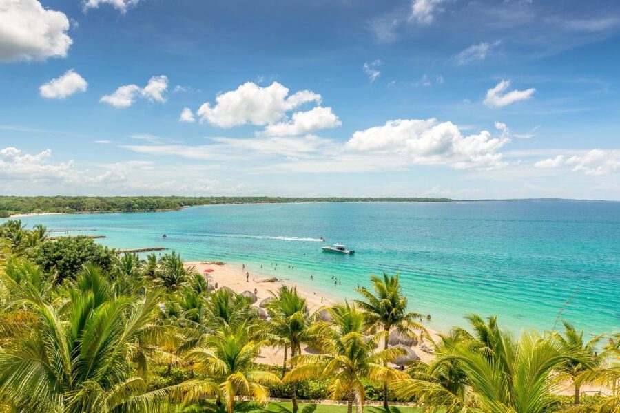 Cartagena: Snorkel, Mangroves and Playa Blanca Tour - Guides and language: what to expect from the people running the day
