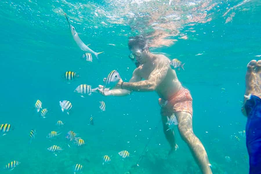 Cartagena: Snorkel, Mangroves and Playa Blanca Tour - Price and value: who should book this, and who might want a different option