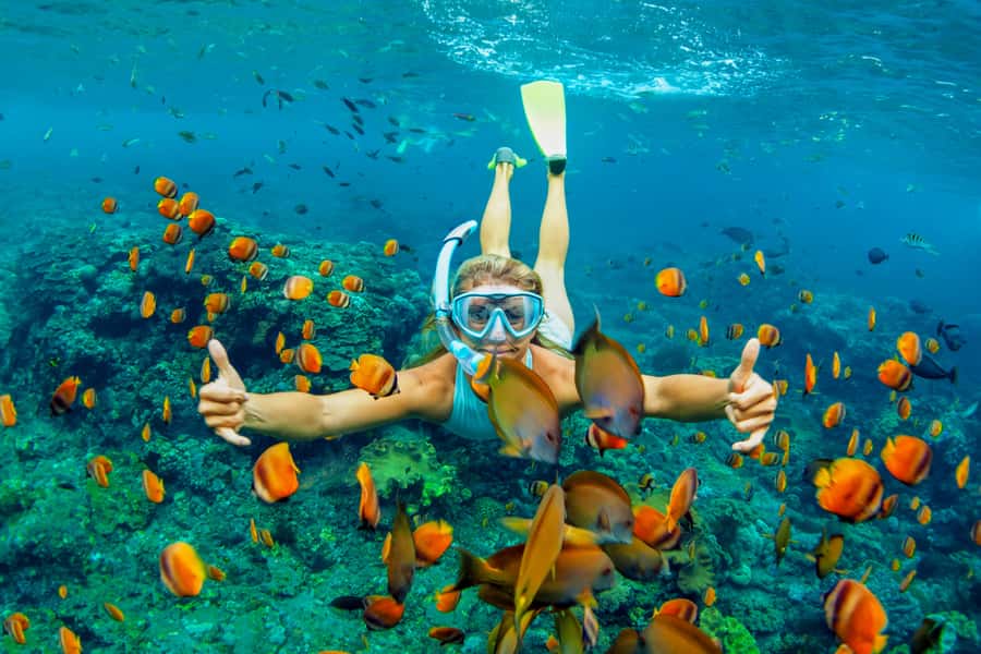 Cartagena: Snorkel, Mangroves and Playa Blanca Tour - Snorkeling at Baru Island: gear, fish, and the reality of visibility