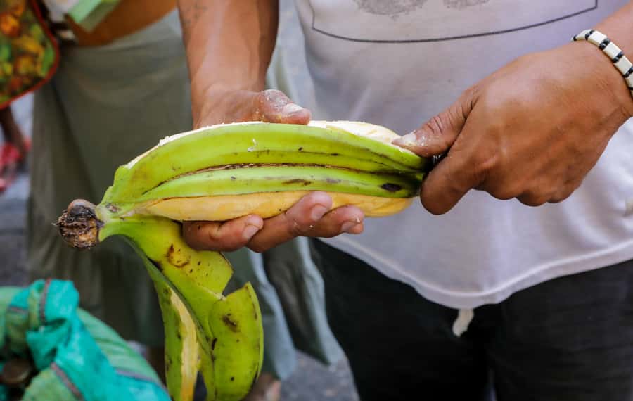 Cartagena: Street Food Walking Tour - The Bakery Moment: Sweet Meets Salted After 30+ Years