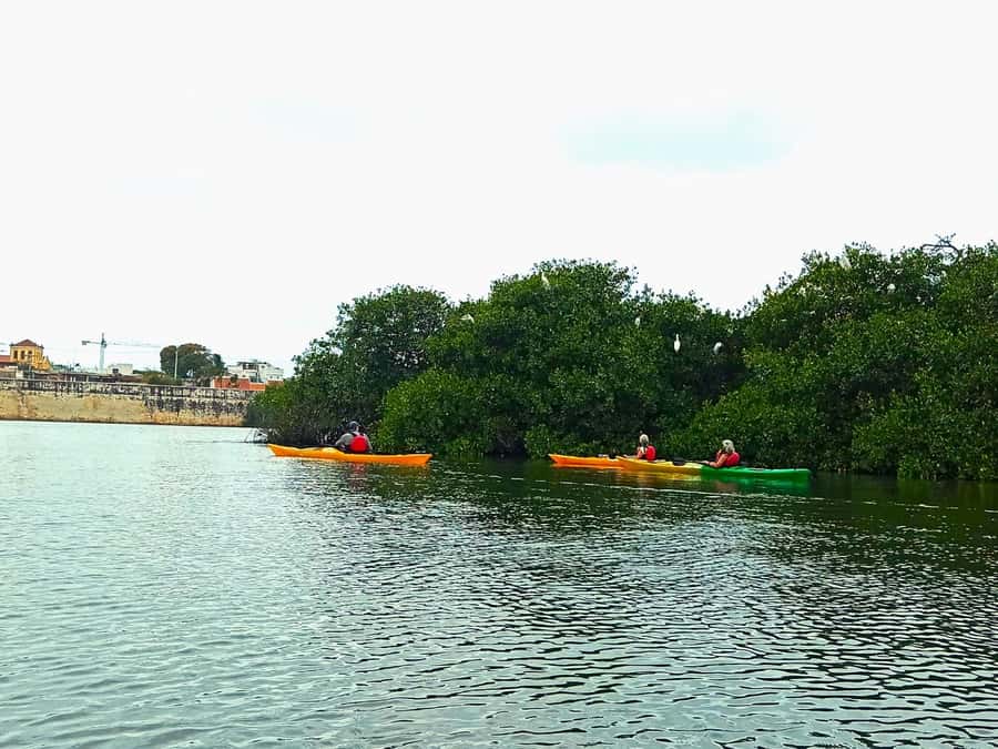 Cartagena: Walled City Kayak Tour - What to pack for this sun-and-water kayak day