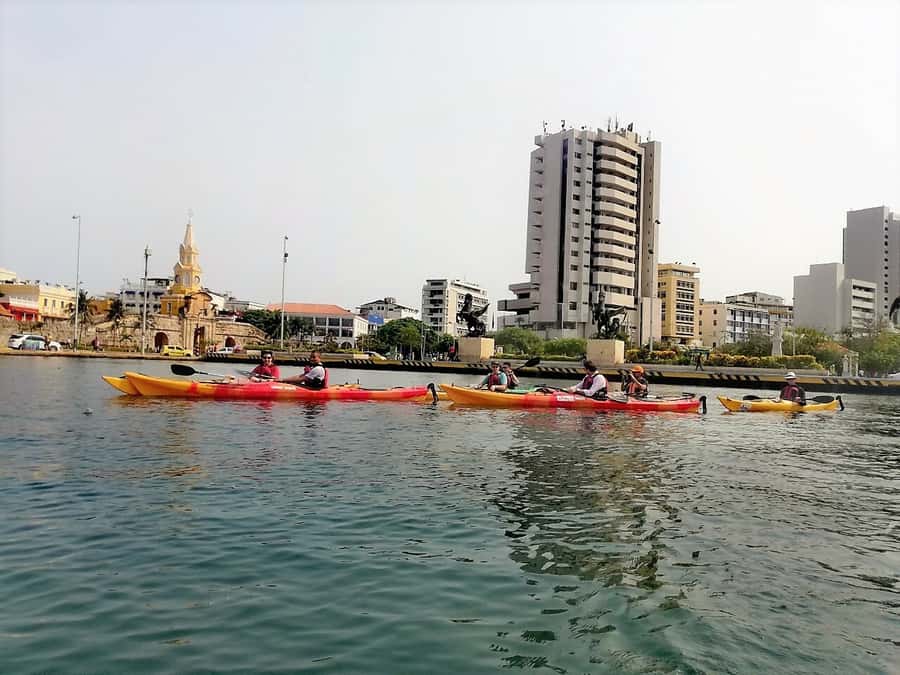 Cartagena: Walled City Kayak Tour - San Lázaro lagoon mangroves: the wall meets the water