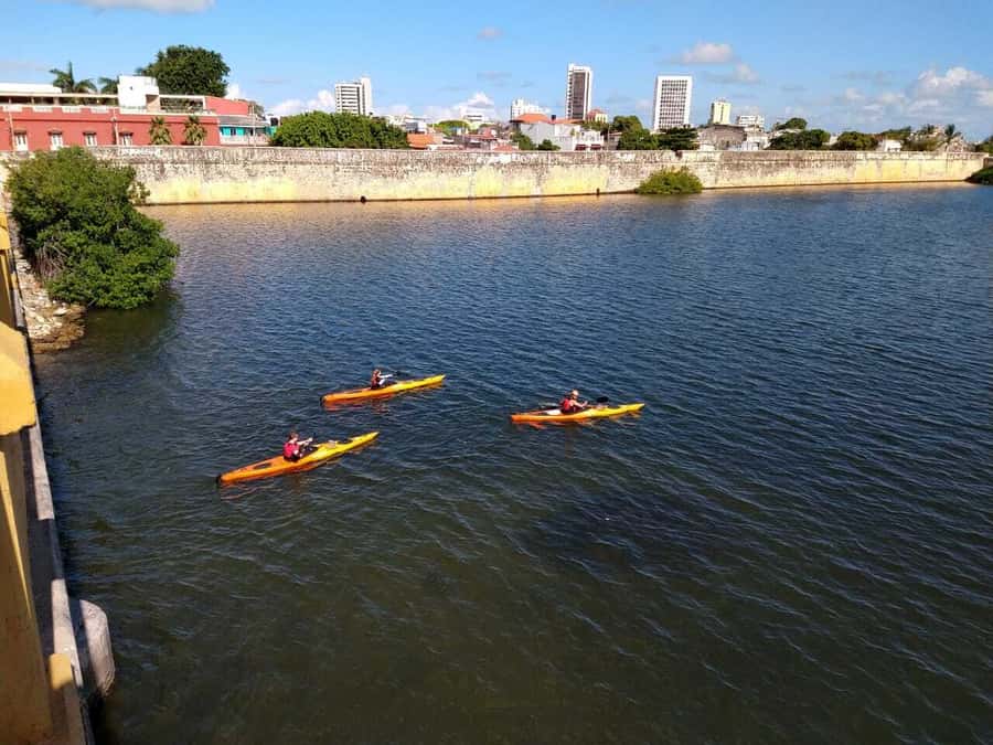 Cartagena: Walled City Kayak Tour - Bird’s Island: birds, mangroves, and the best end-of-ride reward