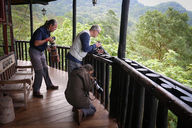 Chicaque Cloud Forest Birding & Birdwatching - Half day - Getting There From Bogotá: The 1.5-Hour Transfer and Realistic Timing