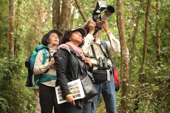 Chicaque Cloud Forest Birding & Birdwatching - Half day - Rain, Altitude, and the Strenuous Parts You Should Plan For