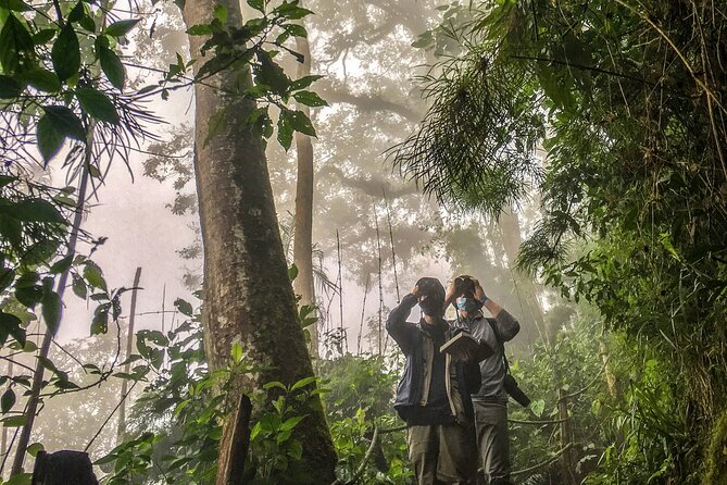 Chicaque Cloud Forest Birding & Birdwatching - Half day - Guide Styles: How Hector, Ramon, Jose Luis, and Jose Affect Your Results