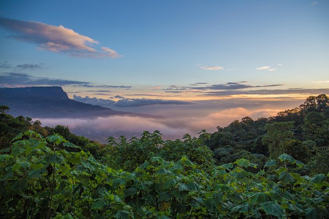 Chicaque Cloud Forest Birding & Birdwatching - Half day - Food Options in the Park: When You Might Want Breakfast or Lunch