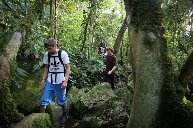 Chicaque Cloud Forest Hike - 4 hours - Chicaque Cloud Forest, A Real Hike Right Near Bogotá