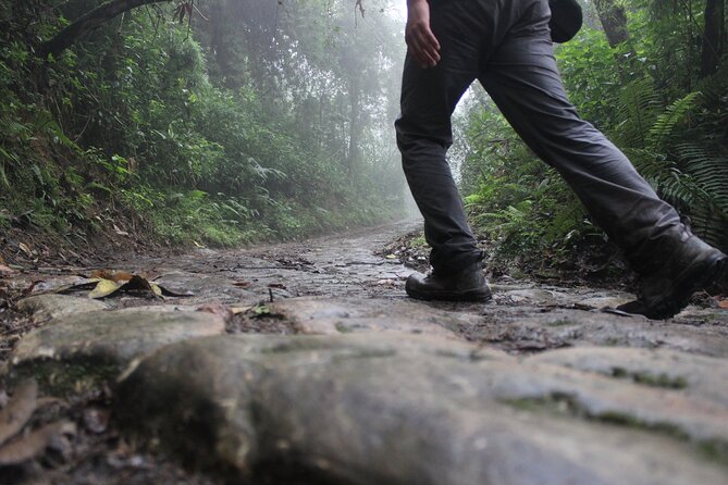Chicaque Cloud Forest Hike - 4 hours - Difficulty Level and What It Means for Your Body