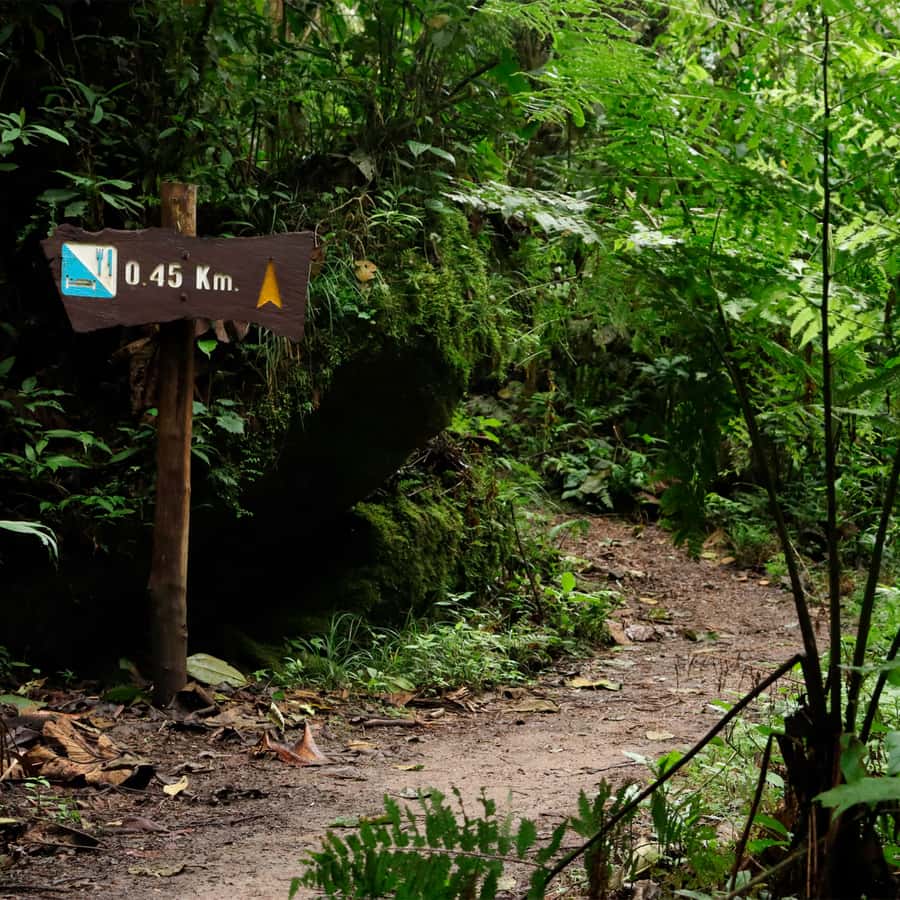 Chicaque Foggy Forest Hike - Key things to know before you go