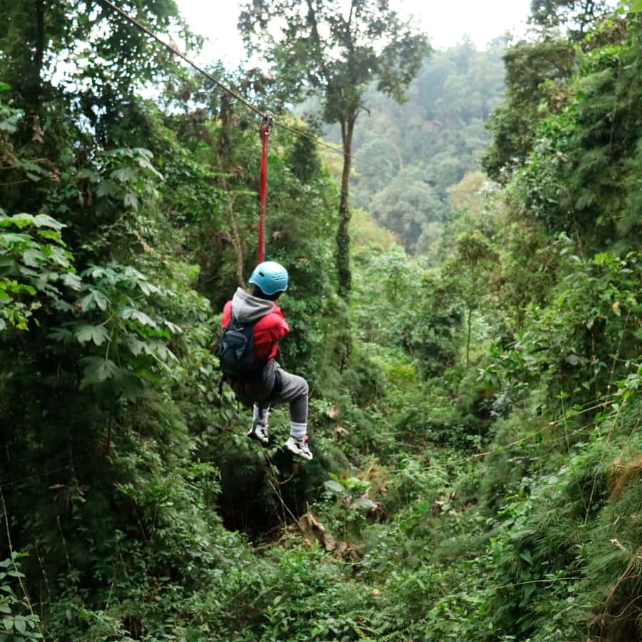 Chicaque Foggy Forest Hike - The trail network: 10 miles, easy sections, and moments that feel serious