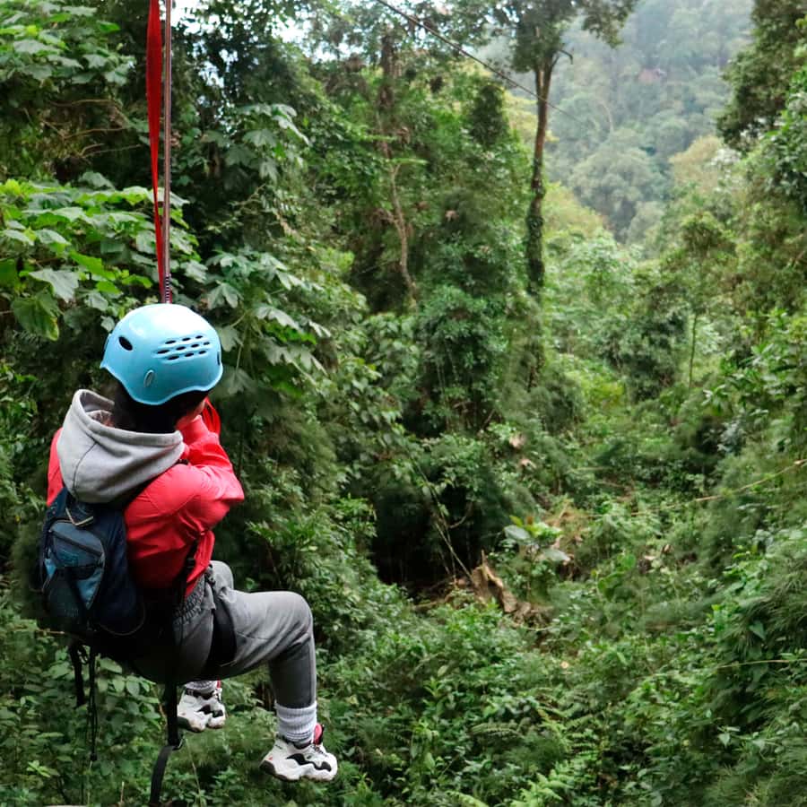 Chicaque Foggy Forest Hike - Waterfalls and streams: the fog turns them into set pieces