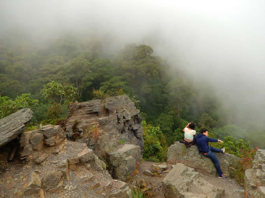 Chicaque Full-Day Trip from Bogotá - Chicaque Cloud Forest: the 45-Minute Escape From Bogotá