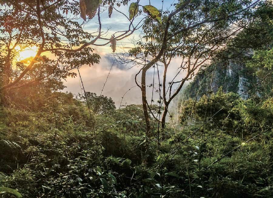 Chicaque Full-Day Trip from Bogotá - Getting into Chicaque: self-guided hiking on marked paths