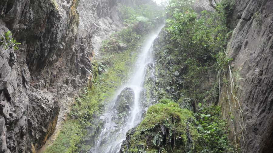 Chicaque Full-Day Trip from Bogotá - Private transfer and the driver who actually waits