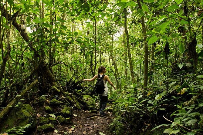 Chicaque National Park - Key things to know before you go