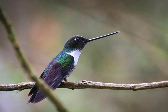 Chicaque National Park - How the 8-hour schedule works in real life