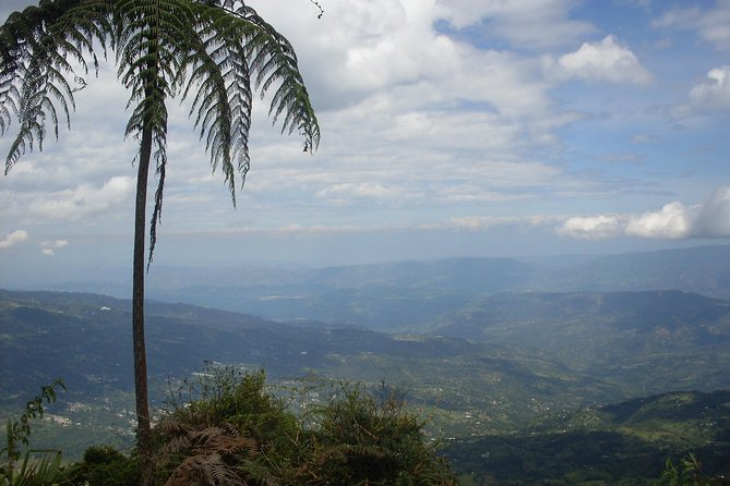 Chicaque Natural Park - Hiking or Birdwatching experience - Key Highlights Worth Your Attention