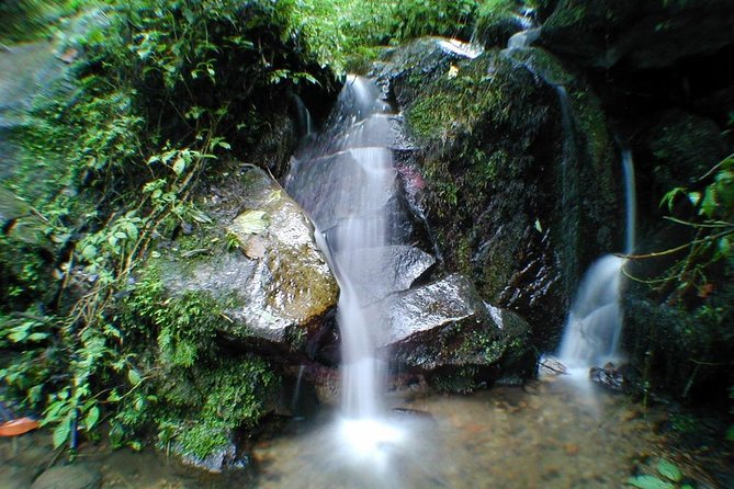 Chicaque Natural Park - Hiking or Birdwatching experience - A Cloud Forest Day Trip Just Outside Bogotá