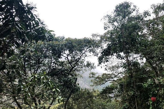 Chicaque Natural Park - Hiking or Birdwatching experience - Private Hike Option: Views, Trails, and a Safety-First Guide