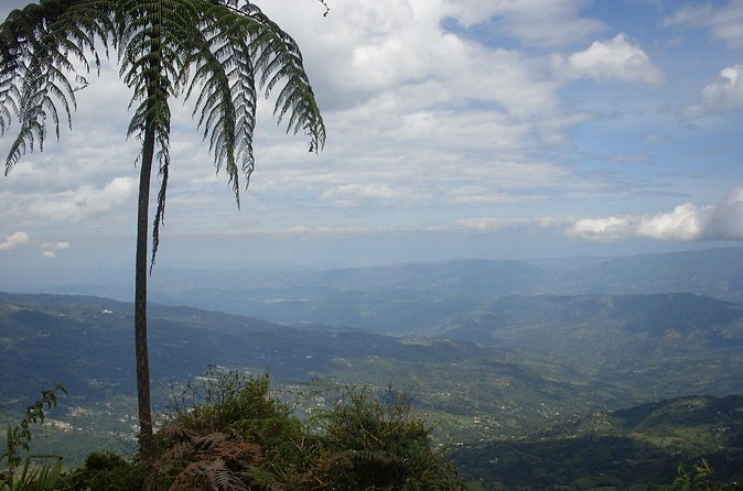 Chicaque Natural Park - Hiking or Birdwatching experience - How the 9-Hour Schedule Really Plays Out