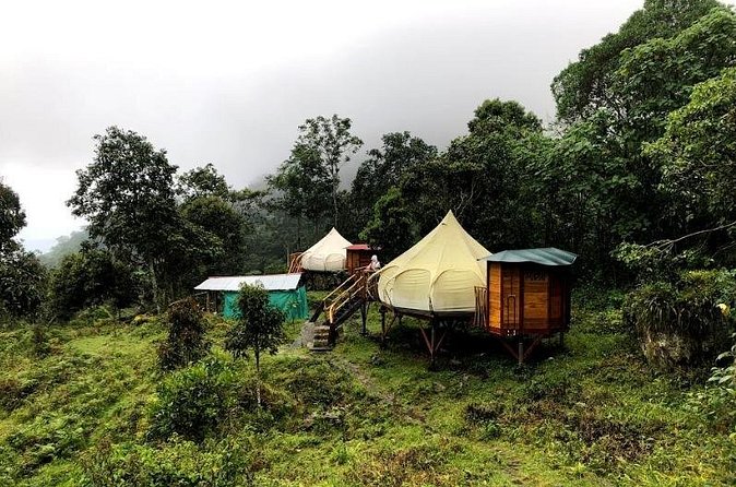 Chicaque Natural Park - Hiking or Birdwatching experience - Lunch Inside the Day, Not Added Ontop