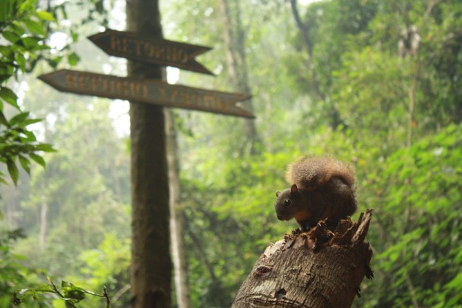 Chicaque Natural Park - Hiking or Birdwatching experience - Private Guide Attention That Keeps the Day Smooth