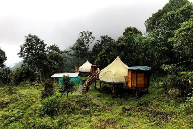Chicaque Natural Park - Hiking or Birdwatching experience - Private Pickup at 8:00 am, Done Your Way
