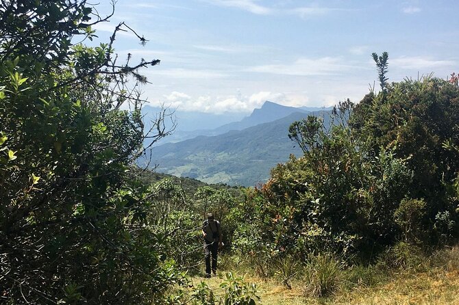 Chingaza National Park Day Tour from Bogotá: Andean Wilderness - Key Things to Know Before You Go
