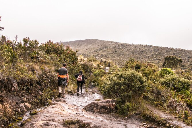 Chingaza National Park Day Tour from Bogotá: Andean Wilderness - After the Hike: Agua de Panela, Dry Clothes, and Cabin Time