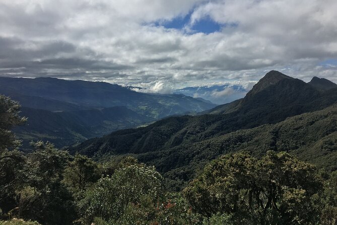 Chingaza National Park Day Tour from Bogotá: Andean Wilderness - Timing Reality Check: When Schedules Feel Tight