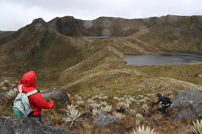 Chingaza Siecha & Cuchillas Lakes Trek - 5 hours - Key things to know before you go