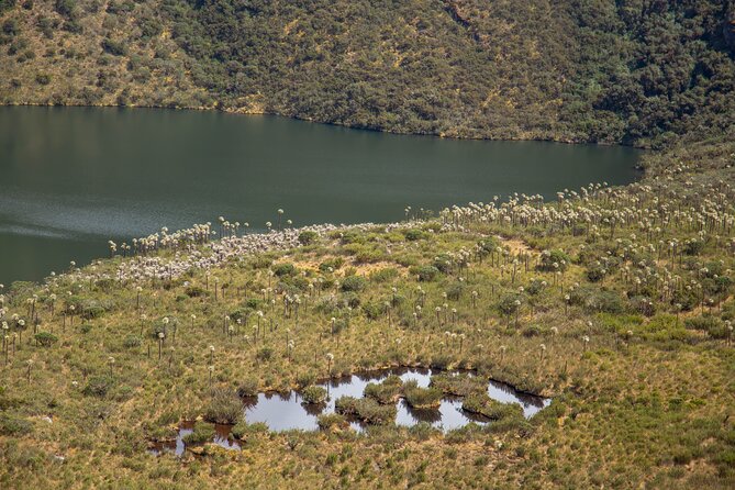 Chingaza Siecha & Cuchillas Lakes Trek - 5 hours - Chingaza at 3,400 to 3,800 meters: why it feels harder than it looks
