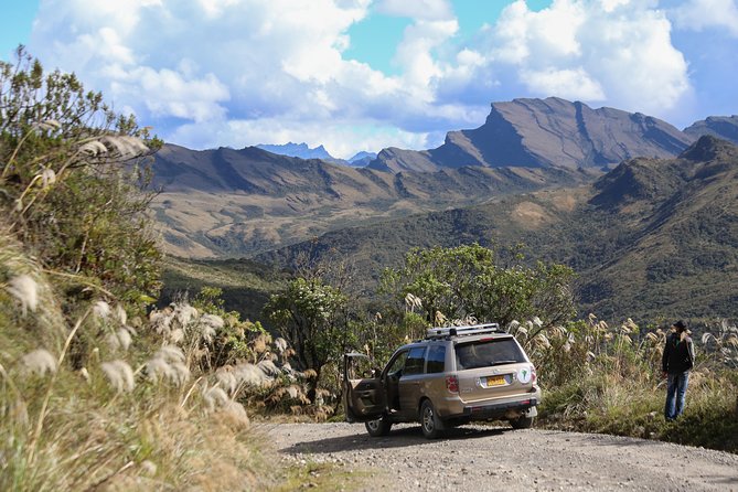 Chingaza Wildlife Páramo Adventure - Chingaza’s high-Andean cloud forest: the real reason to go