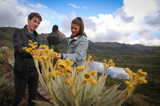 Chingaza Wildlife Páramo Adventure - Price and value: what you truly pay for at $180.50