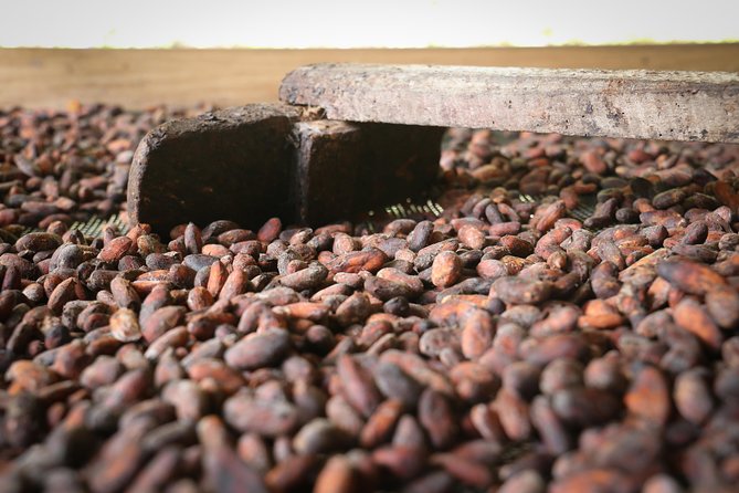 Chocolate & Coffee Farm Experience - A hands-on coffee and cacao day trip from Bogotá
