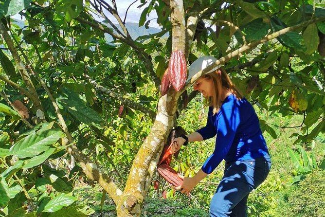 Chocolate Farm Private Tour in Medellin: Real Genuine Experience - Key points before you go