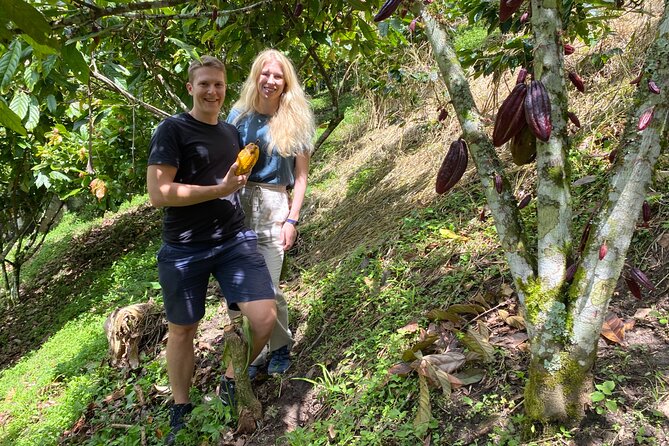 Chocolate tour near Medellin - Stop 1 in Medellín: the “setup” time before you start handling cocoa