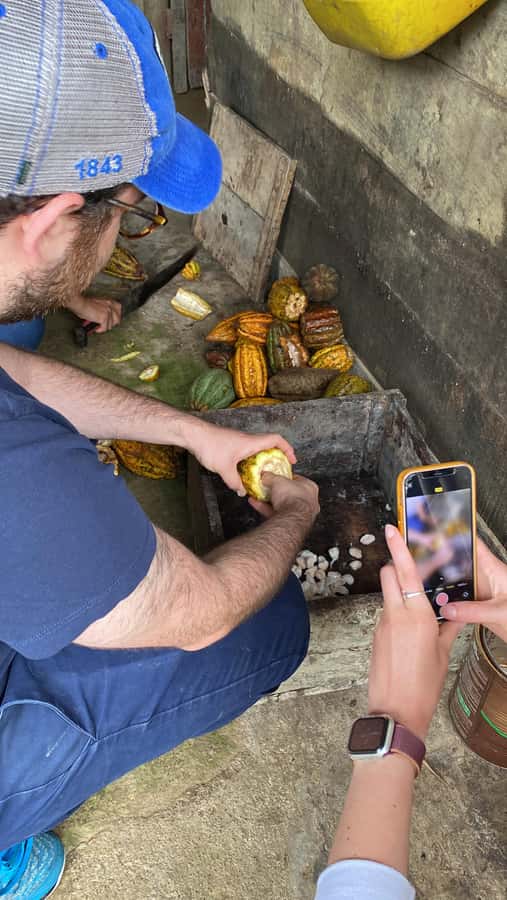 Chocolate tour near the Medellín - Key highlights worth marking