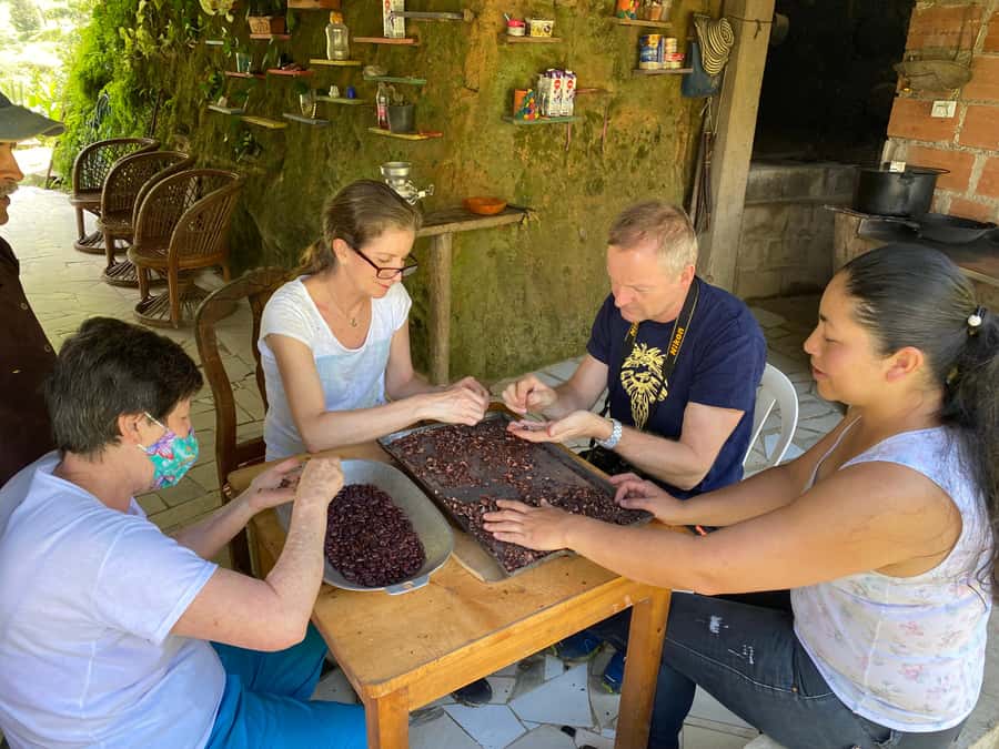 Chocolate tour near the Medellín - Cocoa farm day trip: what makes Barbosa special