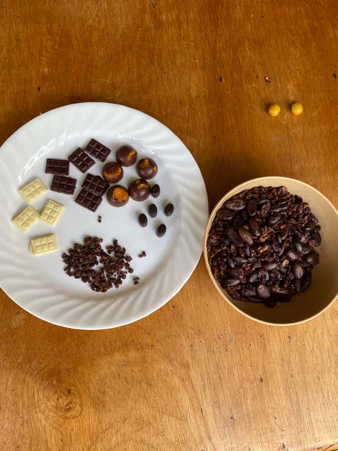 Chocolate tour near the Medellín - Hands-on chocolate making: from you to the bar