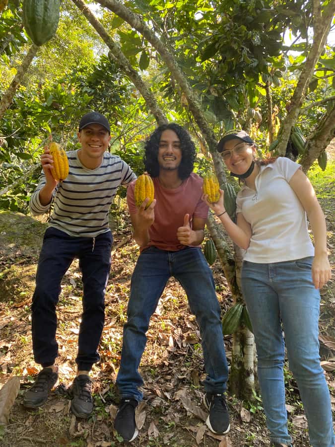 Chocolate tour near the Medellín - Logistics that affect your comfort