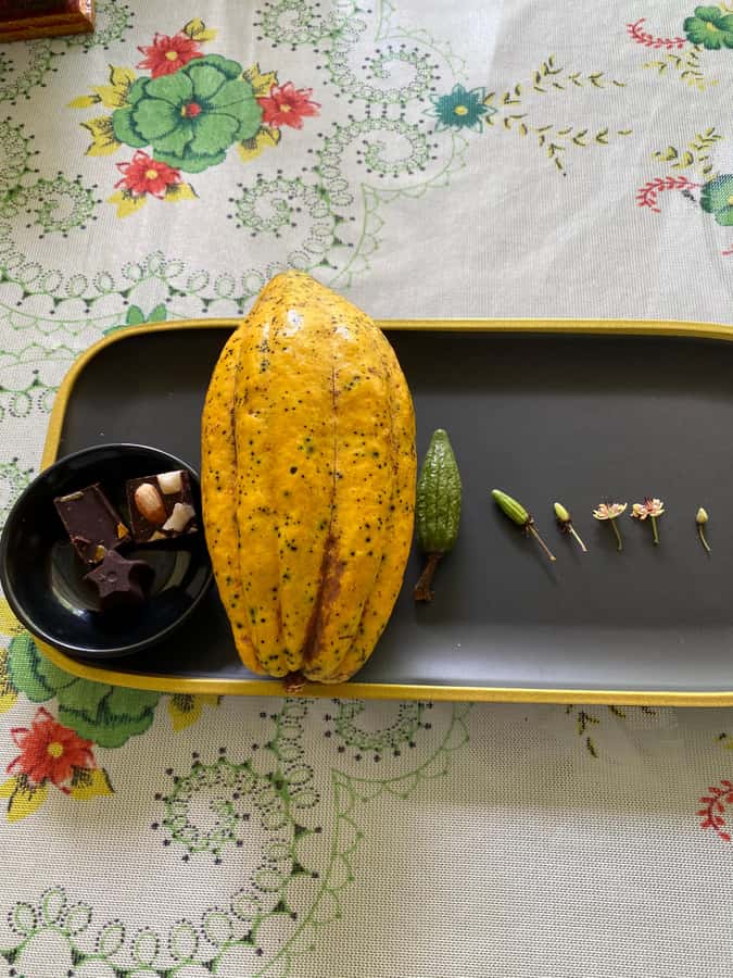 Chocolate tour near the Medellín - Price and value: what $126 buys you