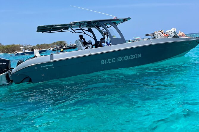Cholon The party island, with DJ on board - Price and value: is $99 a good deal for you?