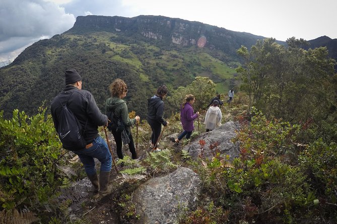 Cloud Forest & Waterfalls Half-Day Hike - Key things that make this hike worth your time