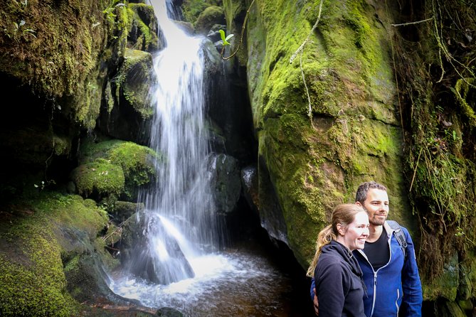 Cloud Forest & Waterfalls Half-Day Hike - Choachi cloud forest hiking: waterfalls, birdwatching, and misty beauty