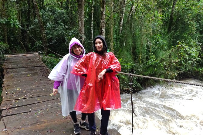 Cocora Valley and Salento Hike Tour - Why Cocora Valley wax palms and coffee belong together