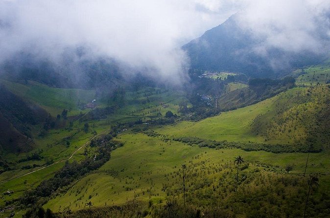 Cocora Valley and Salento Hike Tour - Stop 3: Salento, coffee farms, warm people, and a guided town visit