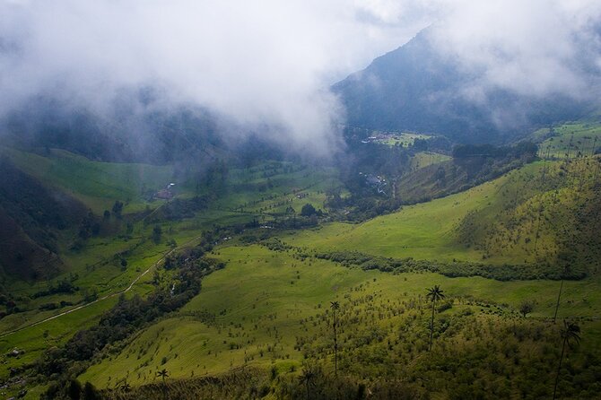 Cocora Valley and Salento Hike Tour - Price and value: how $99 adds up on a half-day tour
