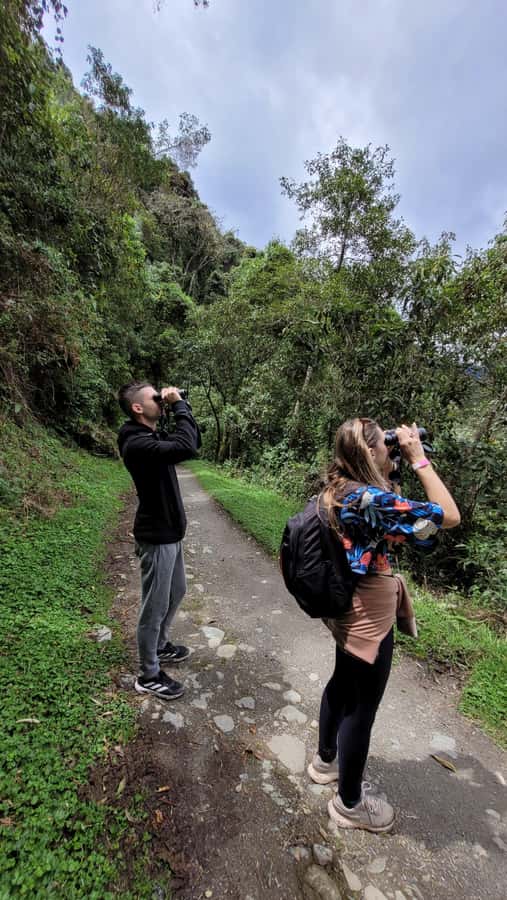 Cocora Valley: Route of the Hummingbirds + breakfast & lunch - The 7km river trail with six bridges to the hummingbird house
